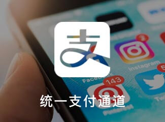 统一支付通道